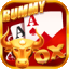 jili rummy icon