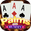 online indian rummy icon