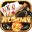 winner rummy game icon